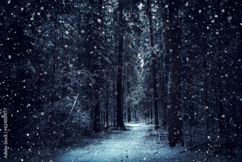 Dark and mistery winter pine forest with snowfall. Dreamy landscape.