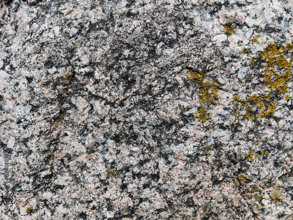 detailed texture of stone detailed texture of stone