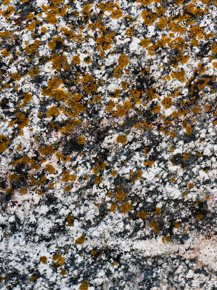 texture of stone with yellow lichen close up texture of stone with yellow lichen close up