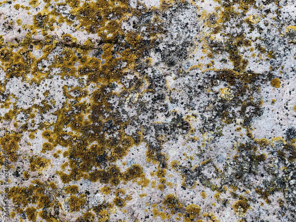 texture of stone with yellow lichen close up texture of stone with yellow lichen close up