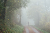 Silhouette dans le brouillard. Balade dans les bois en automne. Une personne marchant sur une route forestière automnale. Brume sur une route avec un promeneur. Randonnée automnale. 