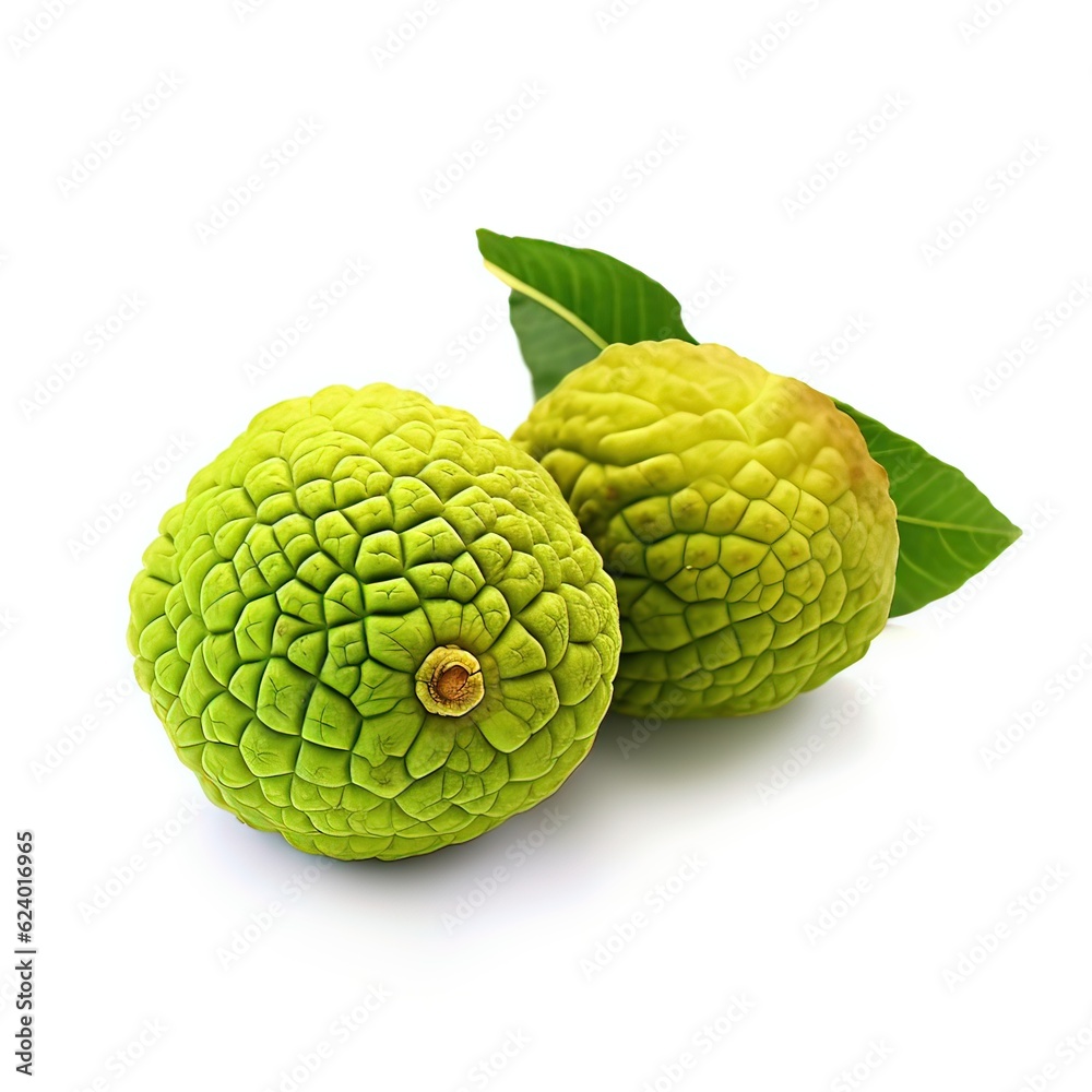 Fototapeta premium osage orange isolated on whitebackground