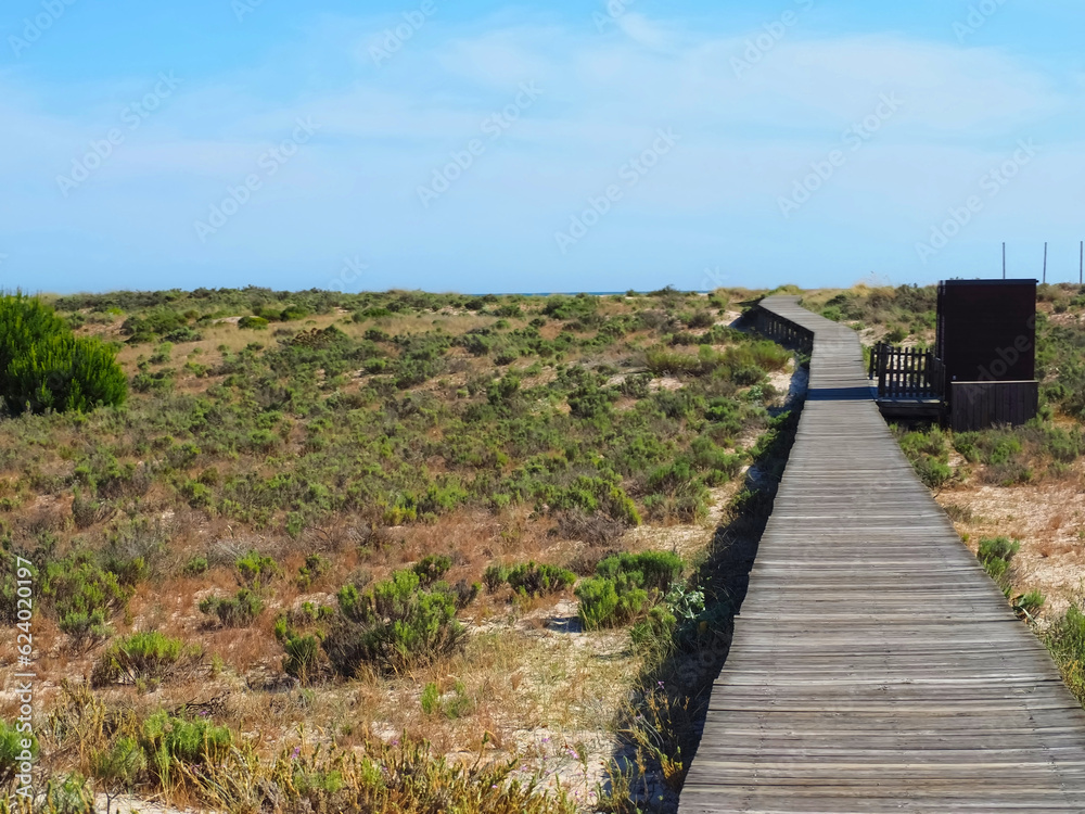 Beautiful nature with dunes and plants in Troia Peninsula Portugal