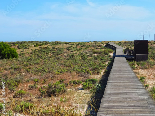 Beautiful nature with dunes and plants in Troia Peninsula Portugal