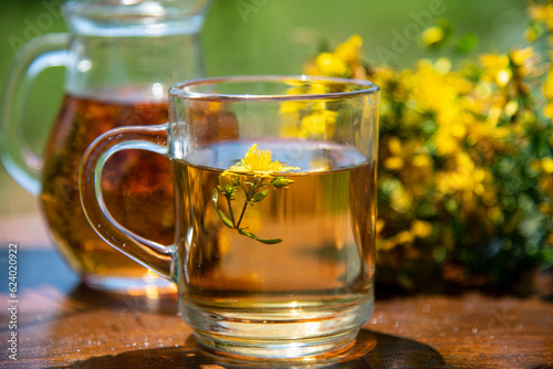 St. John's wort tea in nature