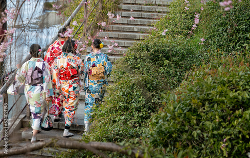 Young women wearing traditional style of the Japan kimono walking along Kamo River in Kyoto Prefecture. Spring cherry blossom season.