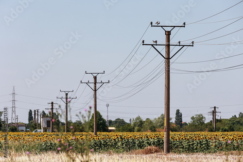 Electric energy transport system. Electric current network.