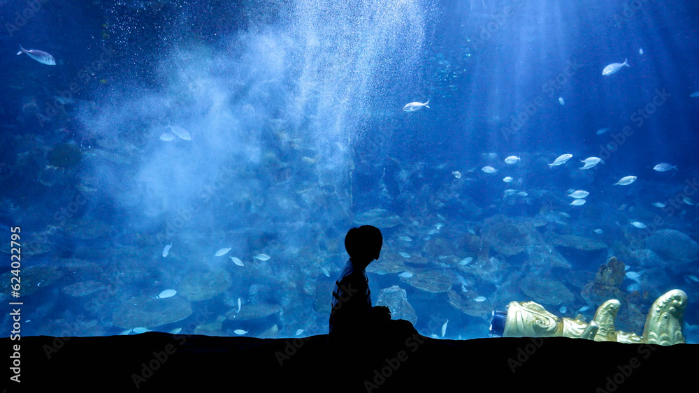 Silhouette of little boy watching fishes swimming in big aquarium at zoo or shopping mall. 23rd of March, 2023, Istanbul, Turkey, Sea Life Aquarium.