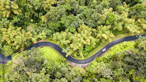 Aerial view of mountain roads in the caribbean island of Martinique.One of the most beautiful road leading to the top of the island towards the volcano.