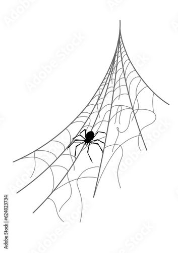 vector of spider web black on white