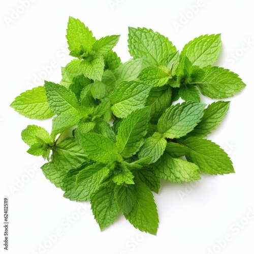 Mint leaf on white background. Fresh raw mint leaves isolated. Full depth of field. Generative AI