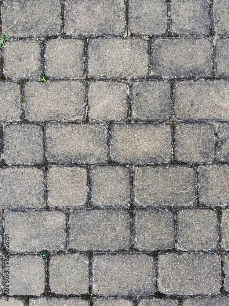 Pavement cement tiles texture for design Pavement cement tiles texture for design