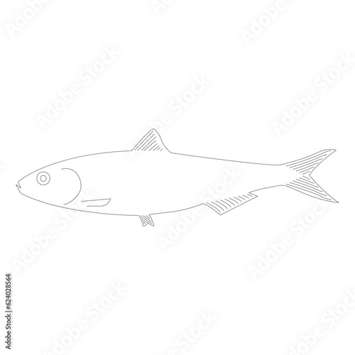sardine icon vector
