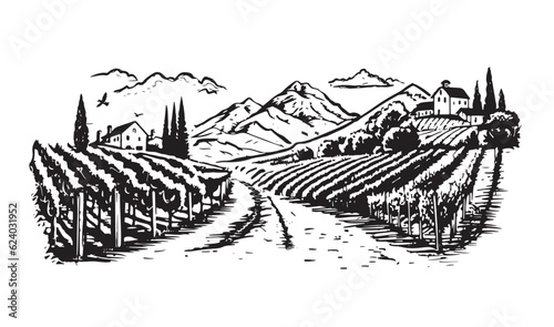 Wine plantations hand drawn, vector.	
