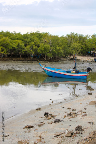 boats on the beach