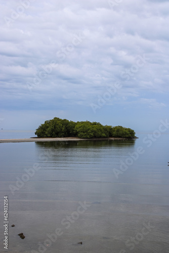 tropical island