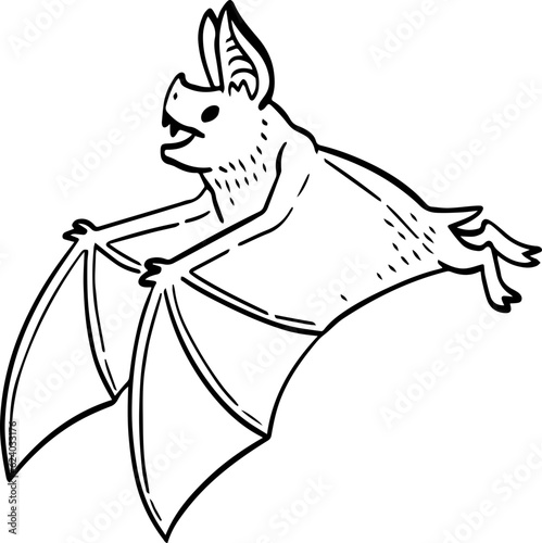 hand drawn cartoon bat illustration.