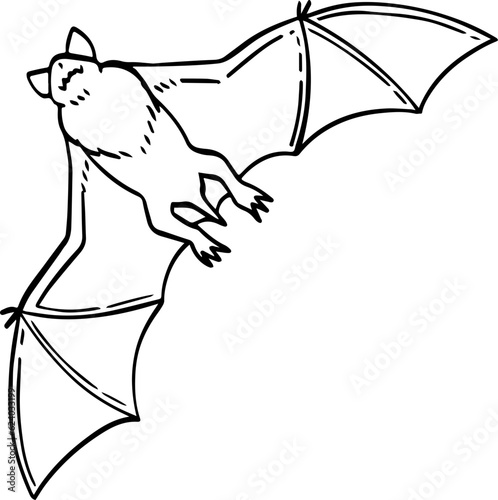 hand drawn cartoon bat illustration.