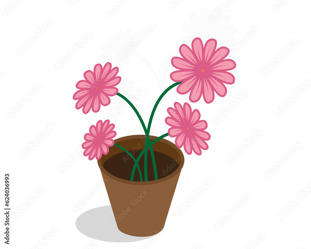 pink flowers in a pot