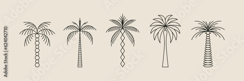 Palm tree thin line icon abstract design summer logo template modern minimal linear emblem for vacations rentals and travel services. Vector illustration