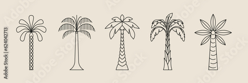 Palm tree thin line icon abstract design summer logo template modern minimal linear emblem for vacations rentals and travel services. Vector illustration
