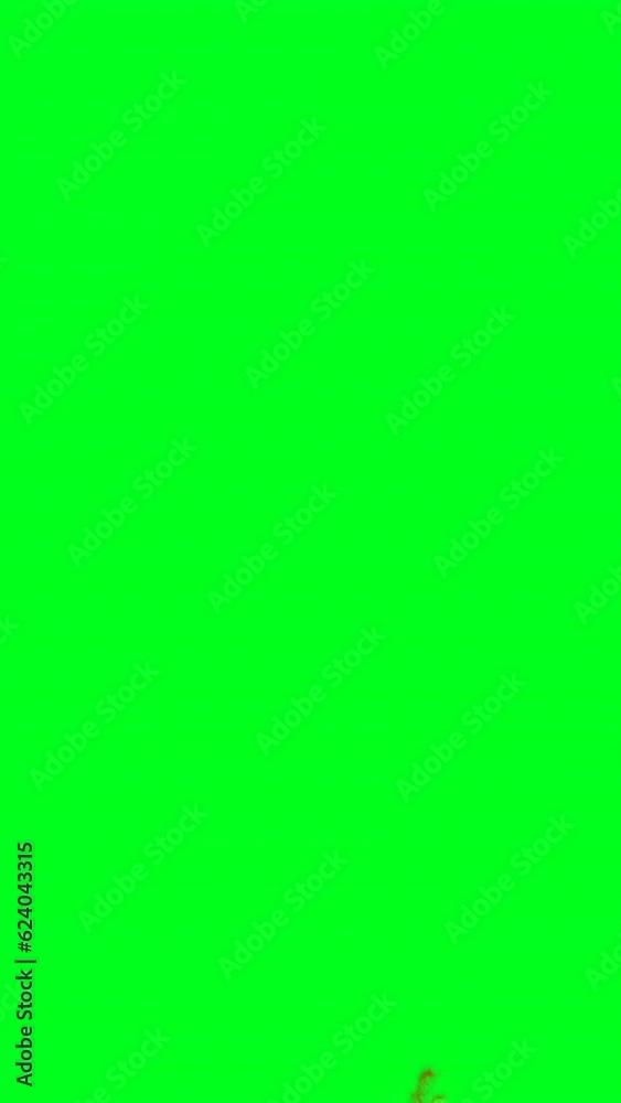 Fire Flames Burn Movement On Chroma Key Green Screen vertical video Fire Flames Burn Movement On Chroma Key Green Screen vertical video