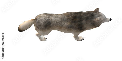 Wolf isolated on a Transparent Background © clicknow