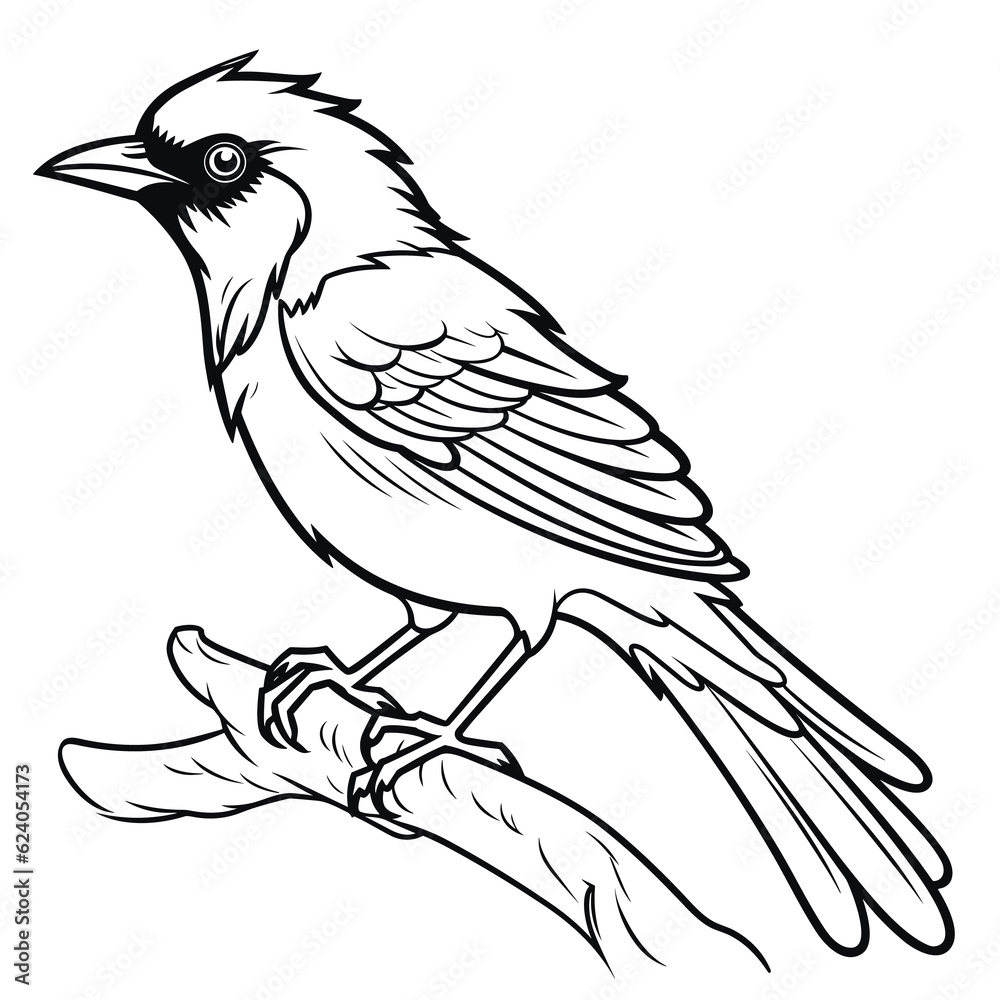 Oriole coloring pages Png animals