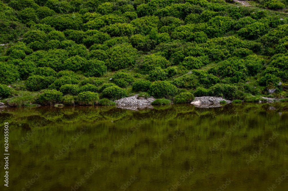 Lake reflection Lake reflection