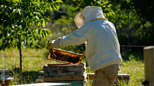 beekeeper at work