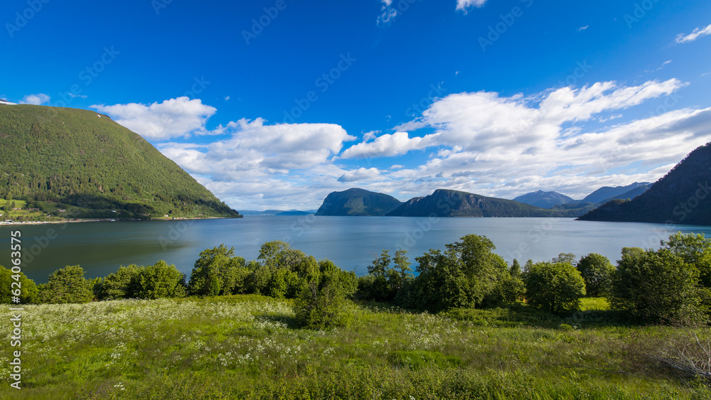 Typical norwegian landscape with fjords, water, meadows and green plants