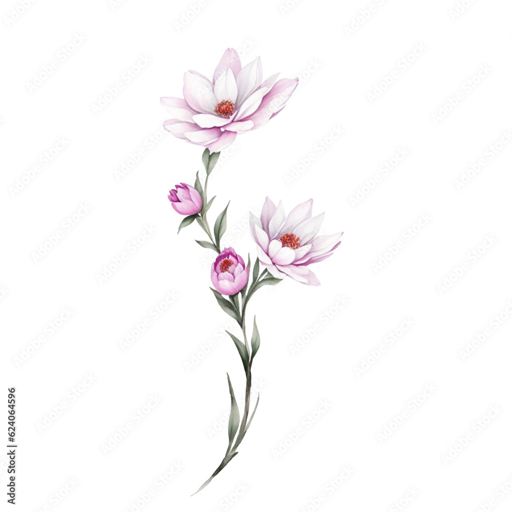 illustration of watercolor flower transparent background