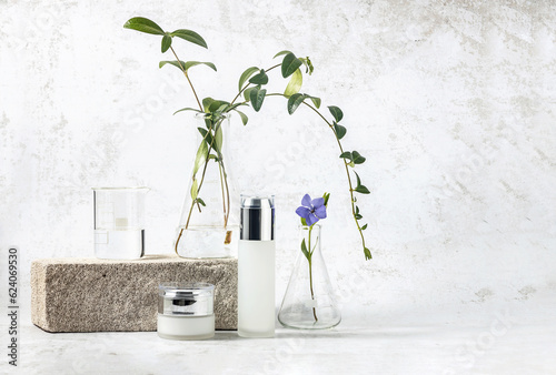 Natural cosmetics concept.  Cosmetic bottles and laboratory flasks with a sprig of periwinkle on a podium made of stone on a gray background