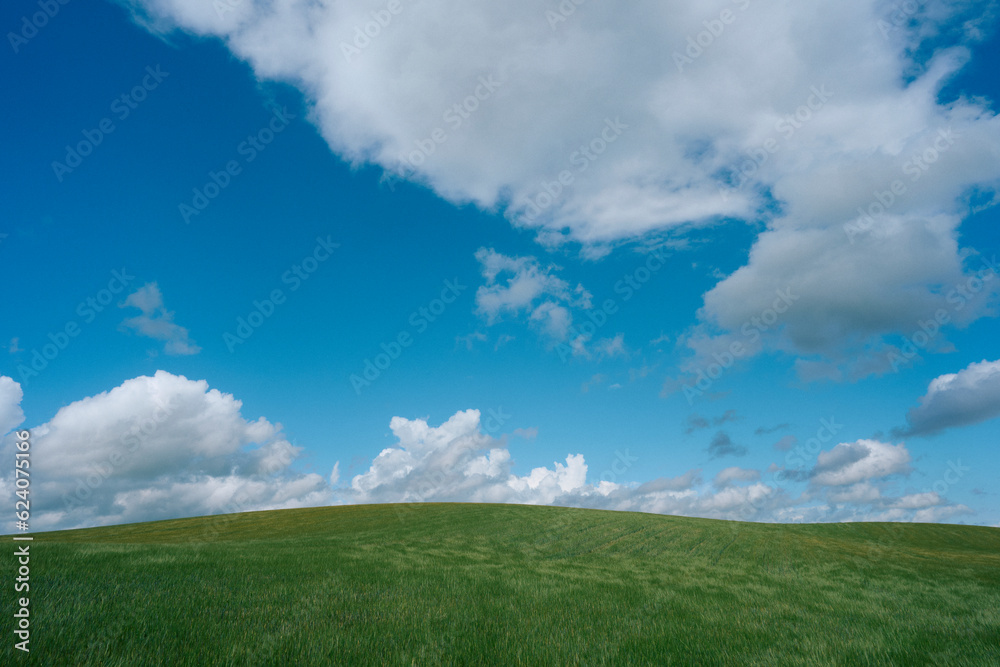 Image from the cultural landscape of the Balkehogda Hill, Toten, Norway, in summer.