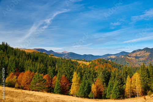 Golden Autumn Serenade  Majestic Carpathian Peaks Embraced by Nature s Palette