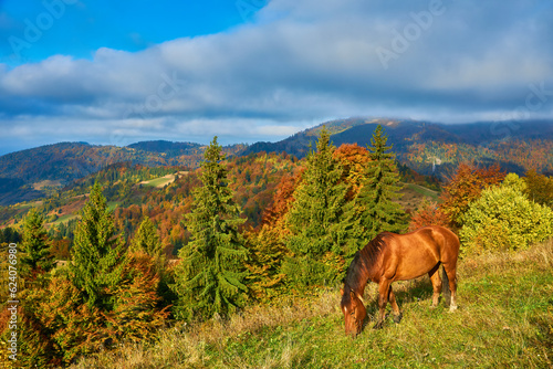 portrait of a brown horse standing on a field with mountains