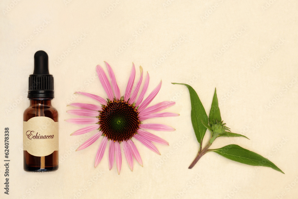 Echinacea herb for natural herbal remedies with tincture bottle, flower head, leaf sprig on hemp paper background.