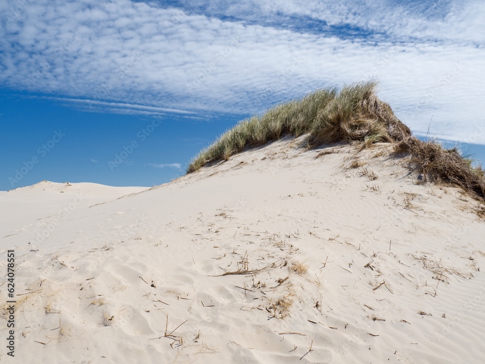 The sand dunes near the town of Leba, Poland, are a popular tourist attraction The sand dunes near the town of Leba, Poland, are a popular tourist attraction