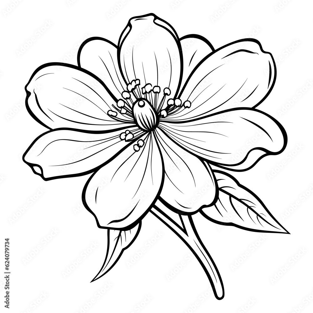 Obraz premium A flower with leaves and a white background