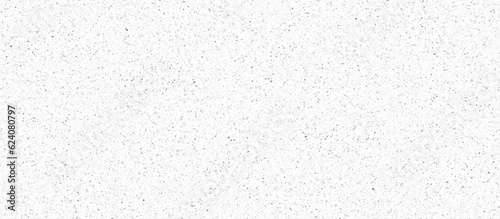 Vector modern terrazzo floor texture mixed black white gray color stone .The structure of porous stone texture  pebble stone background. 