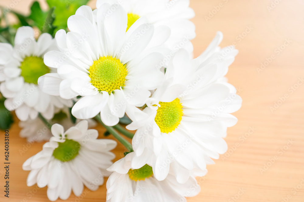 Obraz premium 白い菊の花の年賀状素材 木目背景 寒中見舞いや年賀状じまいのイメージ