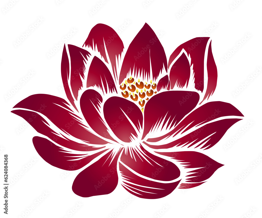 The beauty of the gradation design of the lotus lotus lotus flower Nelumbo nucifera Proteales Tracheophyta Nelumbonaceae is red The beauty of the gradation design of the lotus lotus lotus flower Nelumbo nucifera Proteales Tracheophyta Nelumbonaceae is red