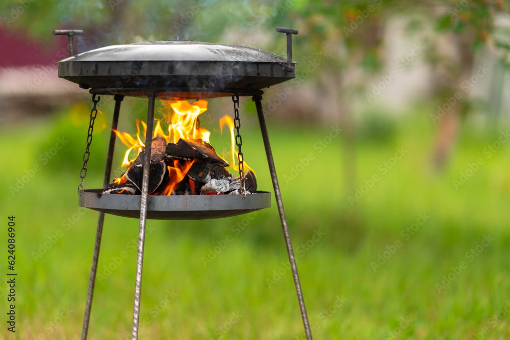 Large, portable picnic pan