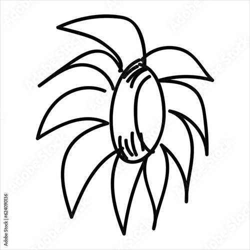 Flower illustration with isolated hand-drawn style on a white background  suitable for children to draw abstract illustrations.