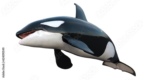 3d rendering of isolated orcas whale on a white background. illustration of killer whale in 8k