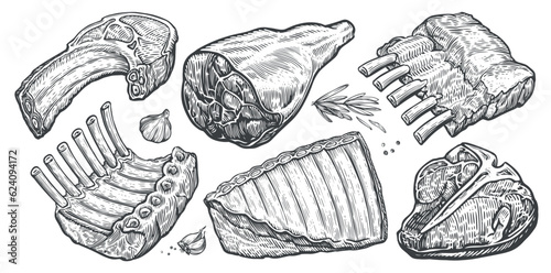 Cuts of raw meat set. Steak, ribs, ham vector illustration. Hand drawn sketch engraving style
