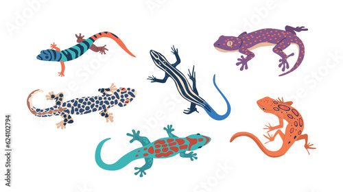 Canvastavla Exotic Lizards Set, Fascinating Reptiles With Unique Patterns And Colors