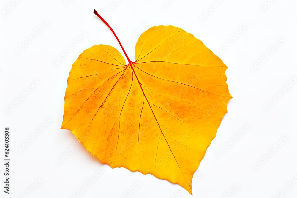Isolated Red Aspen Leaf on White Background - Autumn Yellow Leaf from Nature Tree. Generative AI Isolated Red Aspen Leaf on White Background - Autumn Yellow Leaf from Nature Tree. Generative AI
