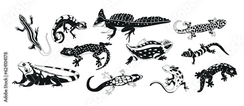 Exotic Lizards And Varans Black and White Icons Set. Captivating Reptiles Known For Their Agility, Intelligence
