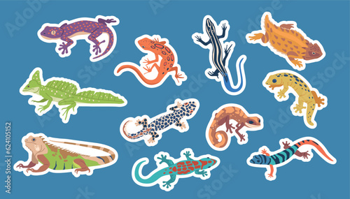 Set Of Stickers with Exotic Lizards And Varans. Reptiles with Unique Colors, Patterns And Size. Fascinating Pets